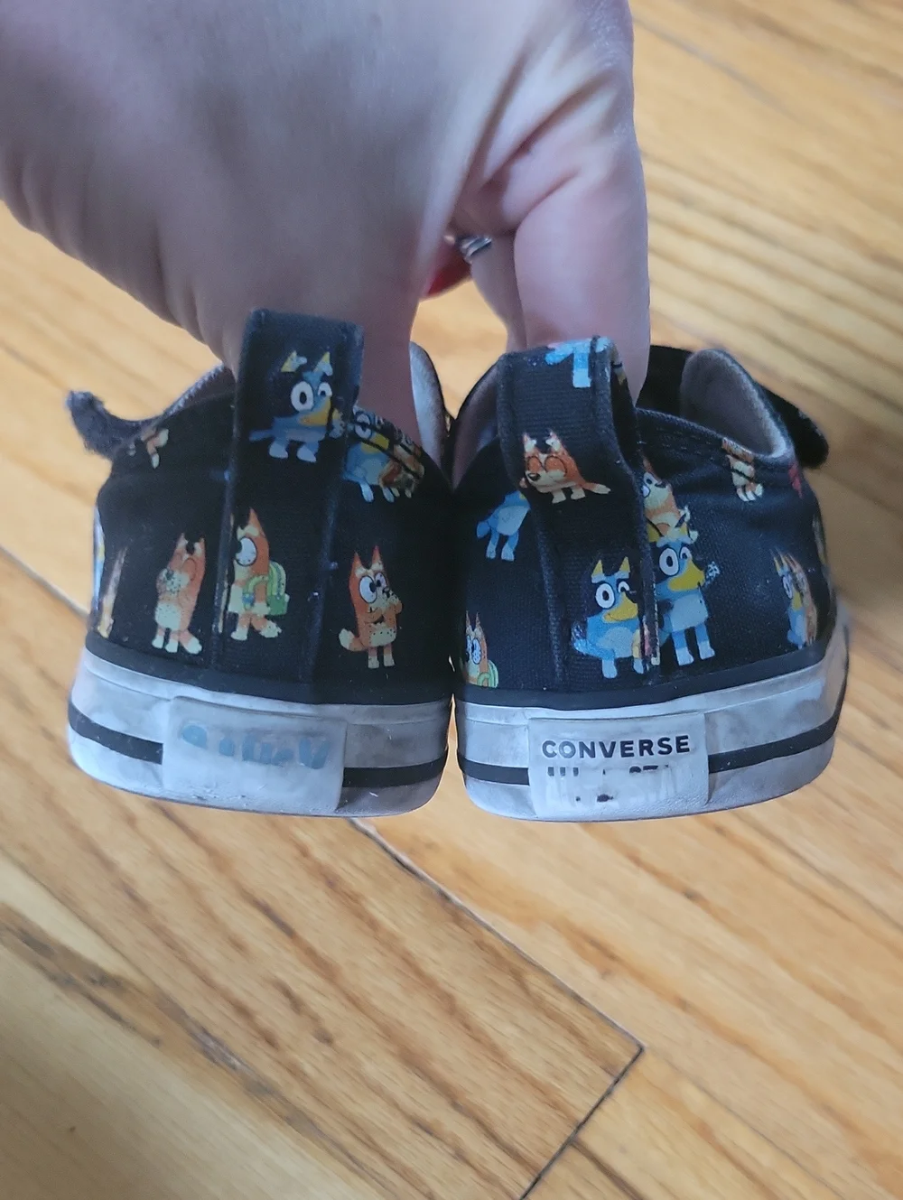 Converse bluey sneakers